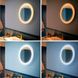 Смарт-світильник PHILIPS Adore Hue wall mirror lamp white 1x40W 24V (34357/31/P7)