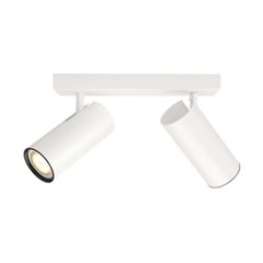 Смарт-світильник PHILIPS BURATTO bar/tube white 2x5.5W 240V (50462/31/P7)