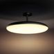 Смарт-світильник PHILIPS Cher Hue ceiling-pendant lamp black 1x39W 24V (40969/30/P7)