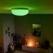 Смарт-светильник PHILIPS Flourish Hue ceiling lamp white 1x32W 24 (40905/31/P7)